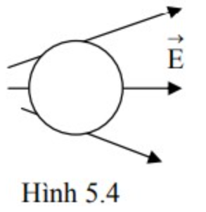 Giả sử đặt quả cầu kim loại chưa nhiễm điện vào điện trường không đều như hình 5.4 thì lực điện trường sẽ đẩy nó về phía nào?￼ (ảnh 1)