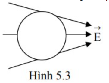 Giả sử đặt quả cầu kim loại chưa nhiễm điện vào điện trường không đều như hình 5.3 thì lực điện trường sẽ đẩy nó về phía nào?￼ (ảnh 1)