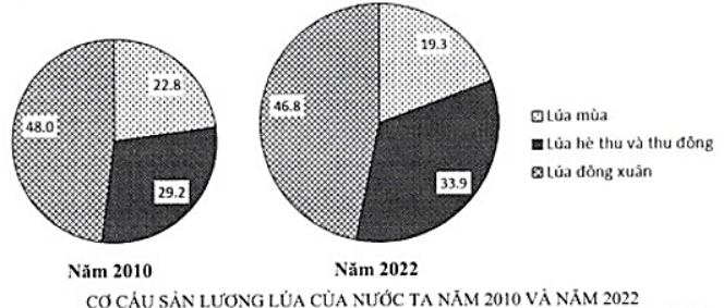 Cho biểu đồ:  CƠ CẤU SẢN LƯỢNG LÚA CỦA NƯỚC TA NĂM 2010 VÀ NĂM 2022  (Nguồn: Niên giám Thống kê Việt Nam năm 2016 và 2023)  a) Tỉ trọng sản lượng lúa đông xuân và lúa mùa đều giảm.  b) Tỉ trọng sản lượng lúa hè thu và thu đông tăng.  c) Tỉ trọng sản lượng lúa đông xuân giảm nhanh hơn lúa mùa.  d) Cơ cấu sản lượng lúa phân theo mùa vụ có sự thay đổi chủ yếu do ảnh hưởng của yếu tố thị trường trong và ngoài nước. (ảnh 1)