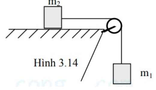 Cho cơ hệ như hình 3.14. Ròng rọc có dạng đĩa tròn đồng chất, khối lượng m. Dây rất nhẹ, không co giãn và không trượt trên ròng rọc. Khi hệ chuyển động có gia tốc thì lực căng dây T1 (tác dụn (ảnh 1)