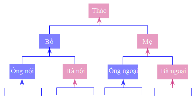 (0,5 điểm) Sơ đồ cây gia phả 10 thế hệ của nhà bạn Thảo có đoạn trich trong hình.Hỏi tổng số người trong sơ đồ cây gia phả này là bao nhiêu? (ảnh 1)