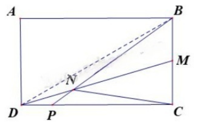 Cho hình chữ nhật ABCD, biết BM = MC, ,    a) Tính diện tích tam giác DMC.  b) Tính tỉ số   c) Tính tỉ số  (ảnh 1)
