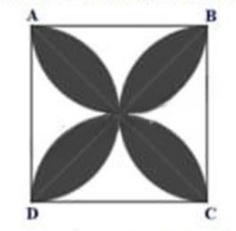  Cạnh của hình vuông ABCD là 10cm. Tính diện tích phần tô màu? (ảnh 1)