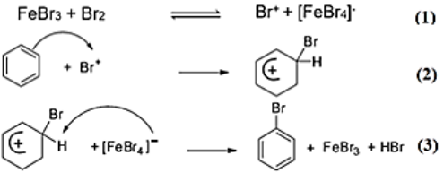 Khi có mặt xúc tác FeBr3, benzene tác dụng với bromine theo phản ứng:  C6H6 + Br2  C6H5Br + HBr  Cơ chế của phản ứng trên như sau:  Nhận định nào sau đây không đúng? (ảnh 1)