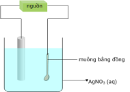 Mạ điện là một trong những ứng dụng của điện phân dựa trên định luật Faraday. Sơ đồ ở bên minh họa một bình điện phân được sử dụng để mạ bạc cho muỗng bằng đồng. Tính khối lượng kim loại bạc tạo thành phủ lên muỗng bằng đồng khi dùng dòng điện 2,1A trong 45 phút để mạ điện thìa đồng với hiệu suất là 80% (làm tròn đáp án đến hàng phần mười). (ảnh 1)