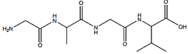  Cho peptide X có công thức cấu tạo:  Phát biểu nào sau đây không đúng? (ảnh 1)