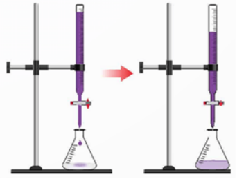 a). Phản ứng chuẩn độ là KMnO4 + FeSO4 + H2SO4 → MnSO4 + K2SO4 + Fe2(SO4)3 + H2O với tổng hệ số tối giản của các chất trong phương trình phản ứng là 36.  b). Khi dung dịch trong bình tam giác xuất hiện màu hồng bền trong khoảng 20 giây thì dừng chuẩn độ, ghi lại thể tích dung dịch KMnO4 là V2. Tiến hành chuẩn độ 3 lần.  c). Có thể thực hiện phép chuẩn độ trên bằng cách đựng dung dịch KMnO4 ở bình tam giác và dung dịch FeSO4 trong môi trường acid ở burette cũng cho kết quả tương tự.  d). Cần xác định hàm lượng nguyên tố sắt trong một viên thuốc bổ sung sắt bằng dung dịch KMnO4. Viên thuốc nặng 250 mg chứa nguyên tố sắt (iron) chỉ ở dạng muối Fe(II) cùng một số chất khác. Kết quả kiểm nghiệm thấy lượng Fe(II) trong viên này phản ứng vừa đủ với 10,0 mL dung dịch KMnO4 0,04 M. Phần trăm khối lượng của nguyên tố sắt trong viên thuốc trên là 44,8%. (ảnh 1)