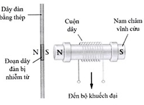 Trong mỗi ý a), b), c), d) ở từng câu, thí sinh chọn đúng hoặc sai. Một ứng dụng của hiện tượng cảm ứng điện từ là tạo ra âm thanh trong đàn guitar điện. Bộ cảm ứng (pickup) của guitar điện, gồm cuộn dây và một nam châm vĩnh cửu, được đặt gần dãy đàn bằng thép có thể nhiễm từ (hình bên). Khi gảy đàn, đoạn dây đàn bị nhiễm từ dao động và tạo ra suất điện động cảm ứng trong cuộn dây. Tín hiệu điện được đưa đến bộ khuếch đại rồi đến loa tạo ra âm thanh mà chúng ta nghe được. a) Khi gảy đàn, đoạn dây đàn bị nhiễm từ dao động tạo ra sự biến thiên tử thông qua cuộn dây. b) Dòng điện cảm ứng trong cuộn dây làm dây đàn dao động, phát ra âm thanh. c) Suất điện động cảm ứng trong cuộn dây có tần số không phụ thuộc vào tần số dao động của dây đàn. d) Khi dây đàn được gảy mạnh, tốc độ biến đổi từ thông qua cuộn dây lớn, dẫn tới giá trị cực đại của suất điện động cảm ứng lớn. (ảnh 1)