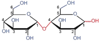 Maltose là một carbohydrate được dùng rộng rãi trong dược phẩm và thực phẩm. Trong chế phẩm tiêm, maltose có thể dùng làm nguồn đường đặc biệt cho người bệnh bị tiểu đường. Maltose có công thức cấu tạo sau:  Cho các phát biểu sau:  (a) Phân tử maltose được tạo bởi 2 gốc α-glucose và có thể mở vòng tạo nhóm -CHO.  (b) Công thức phân tử của maltose là C12H22O11.  (c) Maltose phản ứng với thuốc thử Tollens, phản ứng với Cu(OH)2/OH- ở nhiệt độ thường, phản ứng với CH3OH/khí HCl, phản ứng thuỷ phân trong môi trường acid và base.  (d) Maltose có thể là sản phẩm của quá trình lên men tinh bột và thường tìm thấy trong bia, mì và một số loại thực phẩm khác.  Số phát biểu đúng là bao nhiêu ? (ảnh 1)