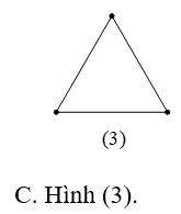 Trong các hình dưới đây, hình nào là tam giác đều? (ảnh 3)