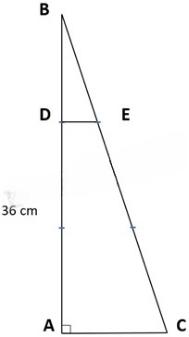 Cho tam giác ABC, có góc vuông ở A. Biết độ dài cạnh AB = 36 cm, AC =  AB.  a) Tính diện tích tam giác ABC.  b) Trên cạnh AB lấy điểm D sao cho AD = AB, trên cạnh BC lấy điểm E sao cho CE = BC. Nối D với E, tính diện tích tứ giác ACED (ảnh 1)