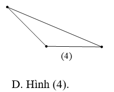 Trong các hình dưới đây, hình nào là tam giác đều? (ảnh 4)