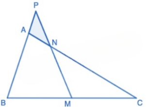 Cho hình vẽ bên, biết BM = MC, AN =  × AC. Tính tỉ số của diện tích tam giác PAN và diện tích tam giác ABC. (ảnh 1)