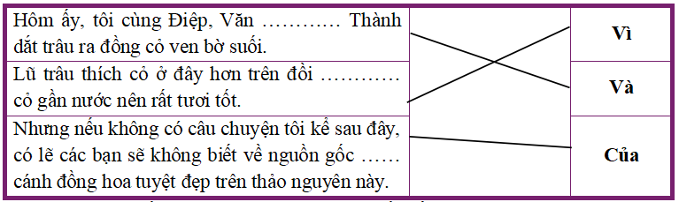Media VietJack