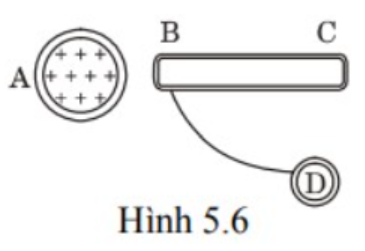 Đưa thanh thép BC chưa tích điện đến gần vật A tích điện (+) thì đầu B tích điện (–), đầu A tích điện (+) (hình 5.6). Sau khi nối đầu B với quả cầu kim loại D ở khá xa bằng dây dẫn thì D nhiễ (ảnh 1)