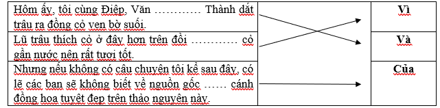 Media VietJack