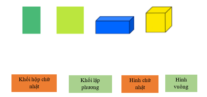 Nối: (ảnh 1)