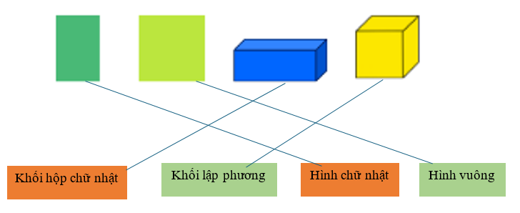 Nối: (ảnh 2)
