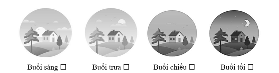 Tác giả miêu tả tiếng đàn trong thời gian nào? (ảnh 1)