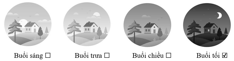 Tác giả miêu tả tiếng đàn trong thời gian nào? (ảnh 2)