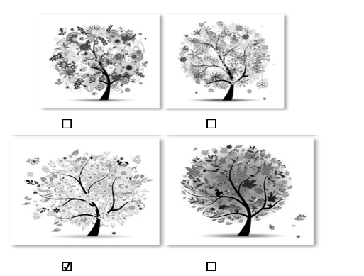 Bài văn tả cảnh ngoại ô vào mùa nào trong năm? (ảnh 2)