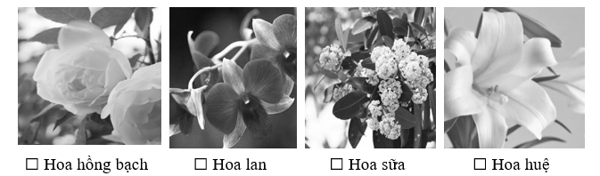 Những loài cây nào xuất hiện trong bài đọc? (ảnh 1)