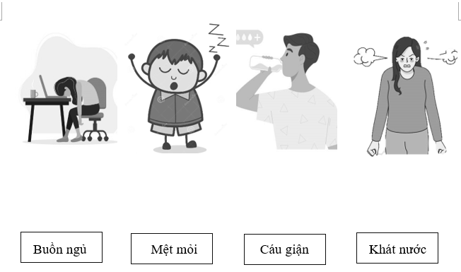 Hãy nối những động từ chỉ trạng thái với từng bức tranh sao cho phù hợp: (ảnh 1)