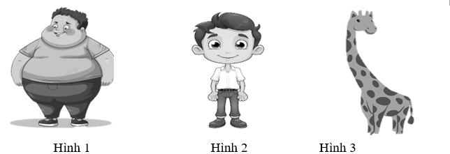 Em hãy tìm tính từ chỉ hình dáng thích hợp với những bức tranh sau: (ảnh 1)