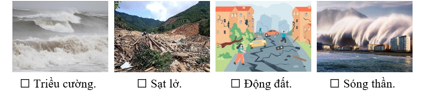 Do đặc điểm địa hình, Hà Lan nhiều lần trải qua thảm hoạ gì? (ảnh 1)