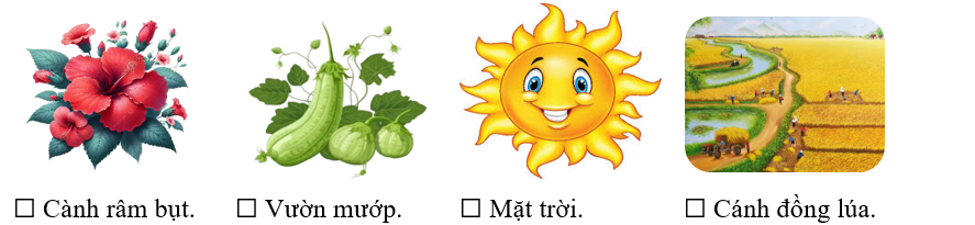 Trong khổ thơ 1, tác gỉa miêu tả đàn ong đã ghé qua những đâu? (ảnh 1)