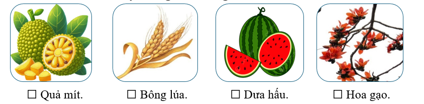 Sự vật nào sau đây không được tác giả miêu tả khi mùa hè đến? (ảnh 1)