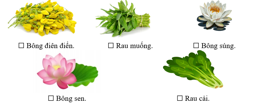Ngoài cá linh, món cá linh nấu canh chua còn cần những nguyên liệu gì? Đánh dấu ☑ trước phương án trả lời đúng. (ảnh 1)