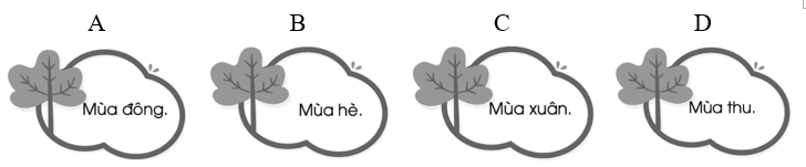 Bài thơ nhắc đến mùa nào trong năm? (ảnh 1)