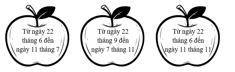 Tô màu vào thời gian diễn ra triển lãm Thiếu nhi với 5 điều Bác Hồ dạy là khi nào? (ảnh 1)