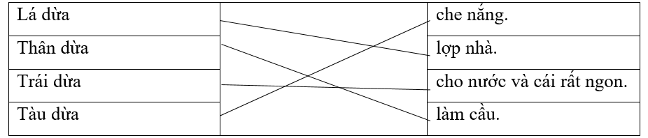 Nối những sự vật với chức năng phù hợp. (ảnh 1)