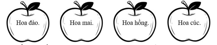 Tô màu vào loài hoa được nhắc đến trong bài đọc. (ảnh 1)