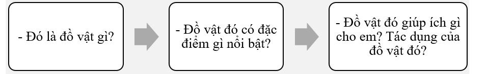 Tả một đồ vật thường dùng khi đi học hoặc khi đi tham quan, du lịch. (ảnh 1)