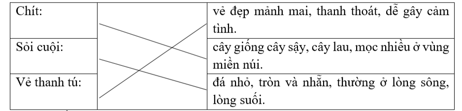 Nối từ với giải nghĩa thích hợp. (ảnh 1)
