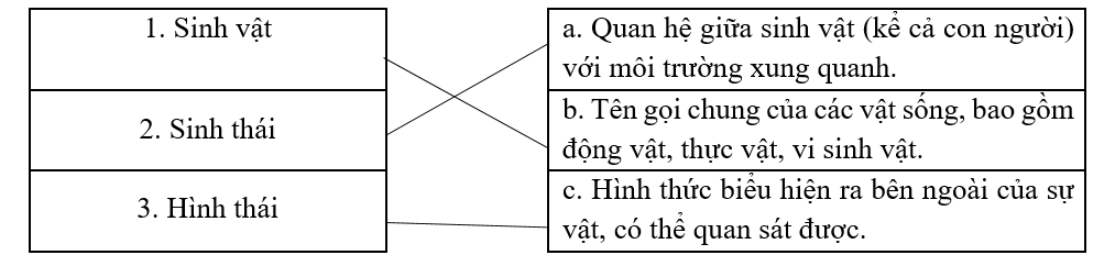 Con hãy ghép ý ở cột bên phải với từ tương ứng ở cột bên trái sao cho phù hợp: (ảnh 1)