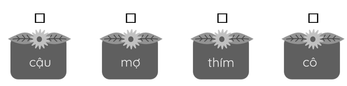 Từ nào chỉ người thân bên ngoại. (ảnh 1)