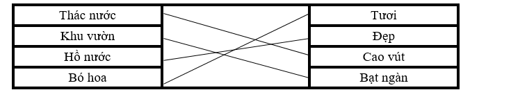 Nối: (ảnh 1)