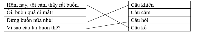 Nối các câu với kiểu câu phù hợp. (ảnh 1)