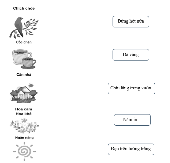 Nối các cột với nhau sao cho phù hợp. (ảnh 1)