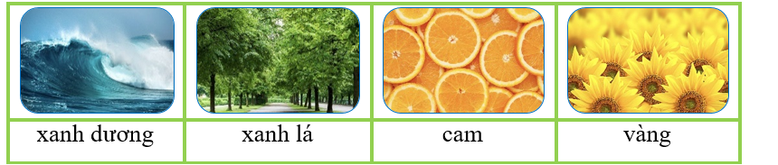 Chọn từ chỉ màu sắc phù hợp cho các sự vật sau: (ảnh 1)