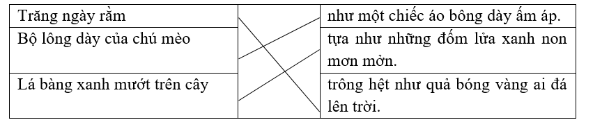 Nối để tạo thành câu có hình ảnh so sánh. (ảnh 1)