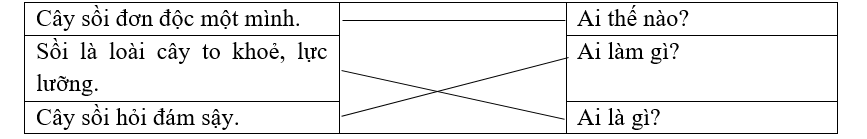 Ghép câu với mẫu câu tương ứng. (ảnh 1)
