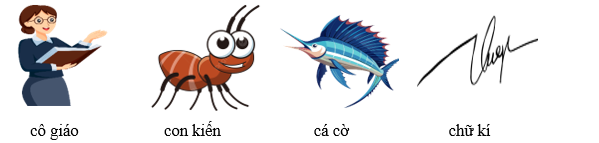 Em hãy quan sát bức tranh và viết tên các sự vật có “c” hoặc “k” vào chỗ trống cho phù hợp: (ảnh 2)