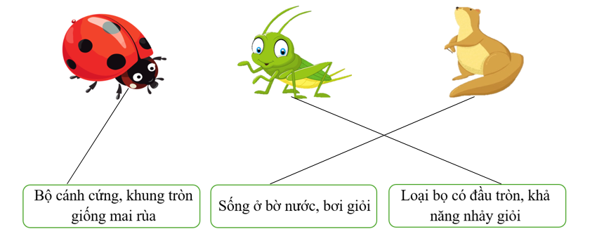 Nối những đặc điểm với nhân vật thích hợp. (ảnh 2)