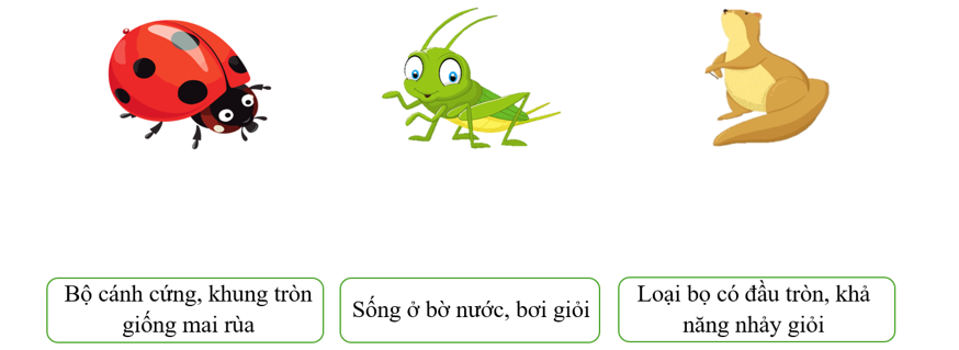 Nối những đặc điểm với nhân vật thích hợp. (ảnh 1)