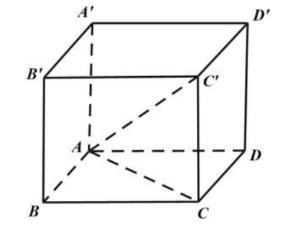 Thể tích khối lăng trụ ABC.A'B'C' bằng  (ảnh 1)